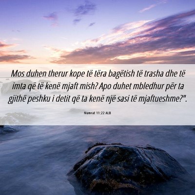 Picture 06 - Numrat 11:22 ALB - Mos duhen therur kope të tëra bagëtish të - Bible Verse Picture