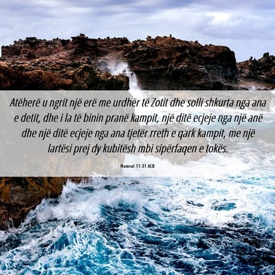 Picture 06 - Numrat 11:31 ALB - Atëherë u ngrit një erë me urdhër të Zotit - Bible Verse Picture
