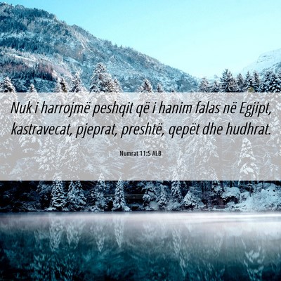 Picture 06 - Numrat 11:5 ALB - Nuk i harrojmë peshqit që i hanim falas në - Bible Verse Picture