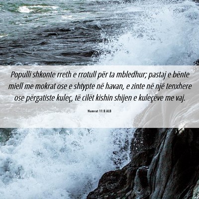 Picture 06 - Numrat 11:8 ALB - Populli shkonte rreth e rrotull për ta mbledhur; - Bible Verse Picture