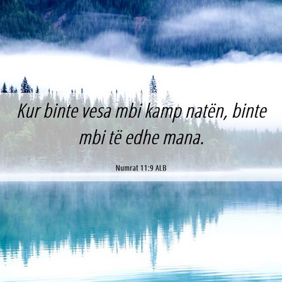 Picture 06 - Numrat 11:9 ALB - Kur binte vesa mbi kamp natën, binte mbi të - Bible Verse Picture
