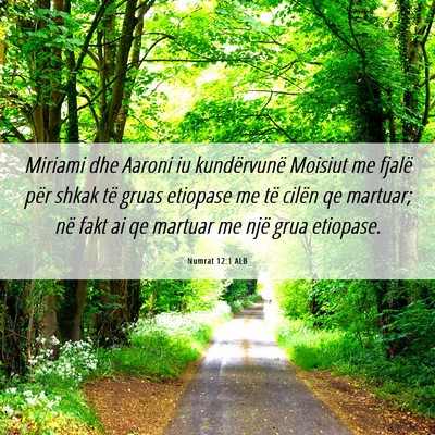 Picture 06 - Numrat 12:1 ALB - Miriami dhe Aaroni iu kundërvunë Moisiut me - Bible Verse Picture