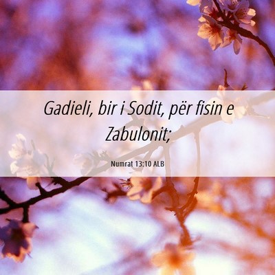Picture 06 - Numrat 13:10 ALB - Gadieli, bir i Sodit, për fisin e - Bible Verse Picture