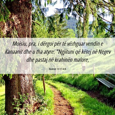 Picture 06 - Numrat 13:17 ALB - Moisiu, pra, i dërgoi për të vëzhguar vendin - Bible Verse Picture