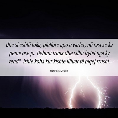 Picture 06 - Numrat 13:20 ALB - dhe si është toka, pjellore apo e varfër, në - Bible Verse Picture