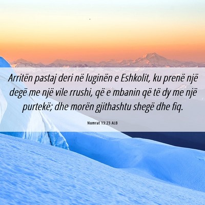 Picture 06 - Numrat 13:23 ALB - Arritën pastaj deri në luginën e Eshkolit, ku - Bible Verse Picture