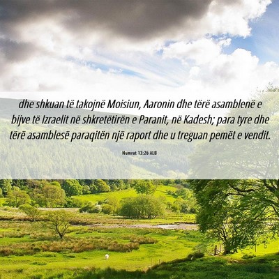 Picture 06 - Numrat 13:26 ALB - dhe shkuan të takojnë Moisiun, Aaronin dhe - Bible Verse Picture