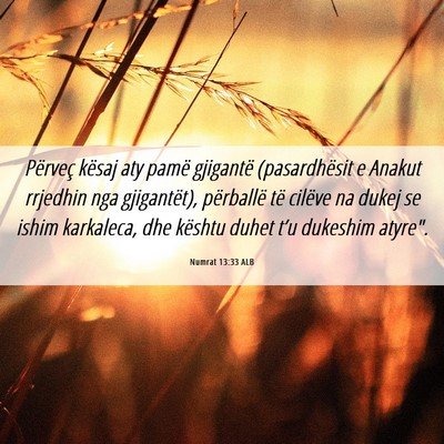 Picture 06 - Numrat 13:33 ALB - Përveç kësaj aty pamë gjigantë (pasardhësit - Bible Verse Picture