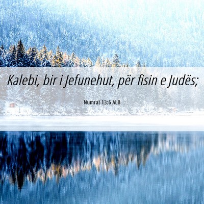 Picture 06 - Numrat 13:6 ALB - Kalebi, bir i Jefunehut, për fisin e - Bible Verse Picture