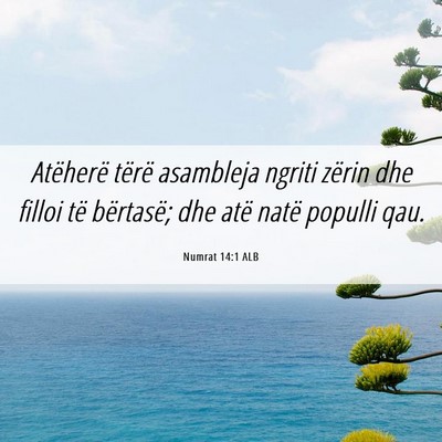Picture 06 - Numrat 14:1 ALB - Atëherë tërë asambleja ngriti zërin dhe - Bible Verse Picture