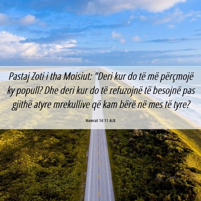 Picture 06 - Numrat 14:11 ALB - Pastaj Zoti i tha Moisiut: 