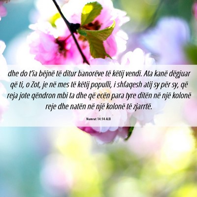 Picture 06 - Numrat 14:14 ALB - dhe do t’ia bëjnë të ditur banorëve të - Bible Verse Picture
