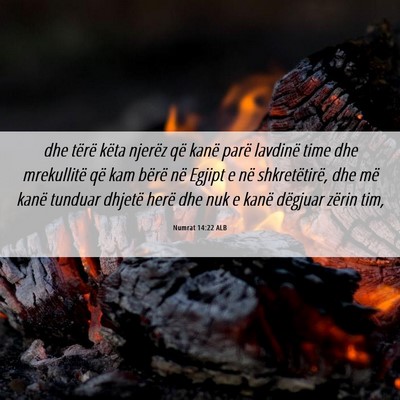 Picture 06 - Numrat 14:22 ALB - dhe tërë këta njerëz që kanë parë lavdinë - Bible Verse Picture