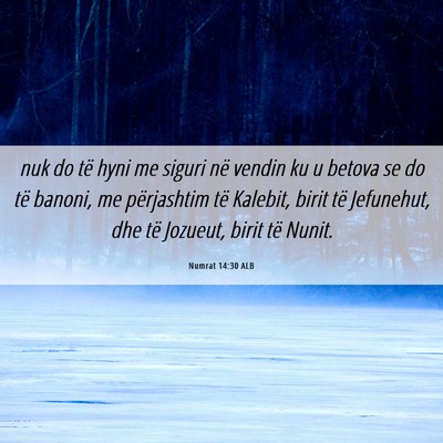 Picture 06 - Numrat 14:30 ALB - nuk do të hyni me siguri në vendin ku u betova - Bible Verse Picture