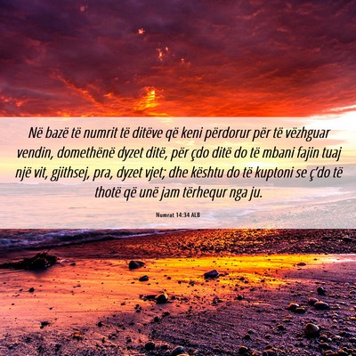 Picture 06 - Numrat 14:34 ALB - Në bazë të numrit të ditëve që keni - Bible Verse Picture