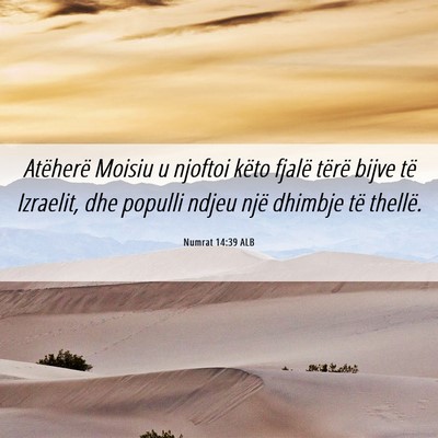 Picture 06 - Numrat 14:39 ALB - Atëherë Moisiu u njoftoi këto fjalë tërë - Bible Verse Picture