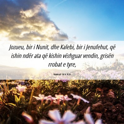 Picture 06 - Numrat 14:6 ALB - Jozueu, bir i Nunit, dhe Kalebi, bir i Jenufehut, - Bible Verse Picture