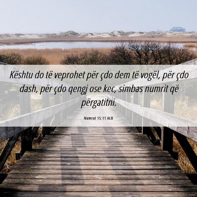 Picture 06 - Numrat 15:11 ALB - Kështu do të veprohet për çdo dem të vogël, - Bible Verse Picture