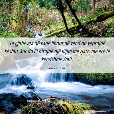 Picture 06 - Numrat 15:13 ALB - Të gjithë ata që kanë lindur në vend do - Bible Verse Picture