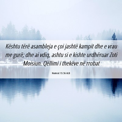 Picture 06 - Numrat 15:36 ALB - Kështu tërë asambleja e çoi jashtë kampit - Bible Verse Picture