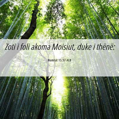 Picture 06 - Numrat 15:37 ALB - Zoti i foli akoma Moisiut, duke i - Bible Verse Picture