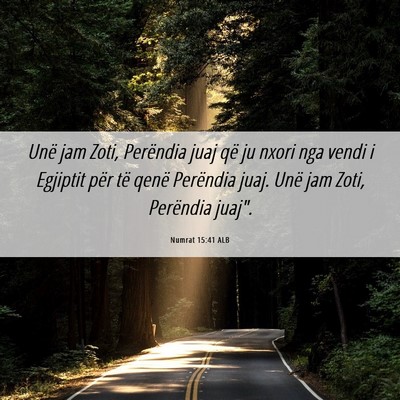 Picture 06 - Numrat 15:41 ALB - Unë jam Zoti, Perëndia juaj që ju nxori nga - Bible Verse Picture