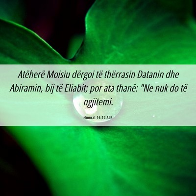 Picture 06 - Numrat 16:12 ALB - Atëherë Moisiu dërgoi të thërrasin Datanin - Bible Verse Picture