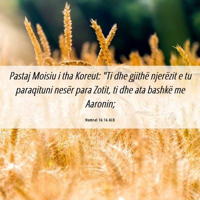Picture 06 - Numrat 16:16 ALB - Pastaj Moisiu i tha Koreut: 