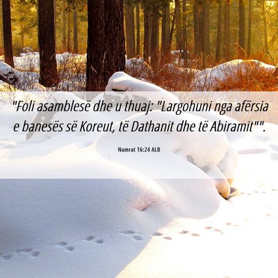 Picture 06 - Numrat 16:24 ALB - 