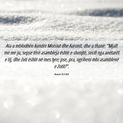 Picture 06 - Numrat 16:3 ALB - Ata u mblodhën kundër Moisiut dhe Aaronit, dhe - Bible Verse Picture