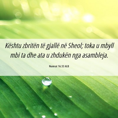 Picture 06 - Numrat 16:33 ALB - Kështu zbritën të gjallë në Sheol; toka u - Bible Verse Picture