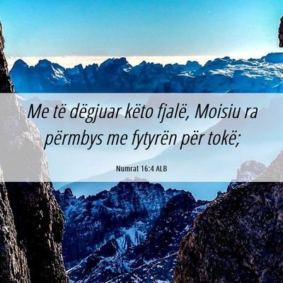 Picture 06 - Numrat 16:4 ALB - Me të dëgjuar këto fjalë, Moisiu ra përmbys - Bible Verse Picture