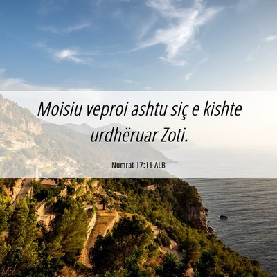 Picture 06 - Numrat 17:11 ALB - Moisiu veproi ashtu siç e kishte urdhëruar - Bible Verse Picture
