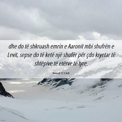 Picture 06 - Numrat 17:3 ALB - dhe do të shkruash emrin e Aaronit mbi shufrën - Bible Verse Picture