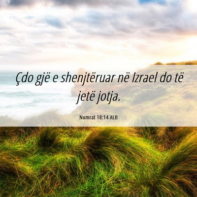 Picture 06 - Numrat 18:14 ALB - Çdo gjë e shenjtëruar në Izrael do të jetë - Bible Verse Picture