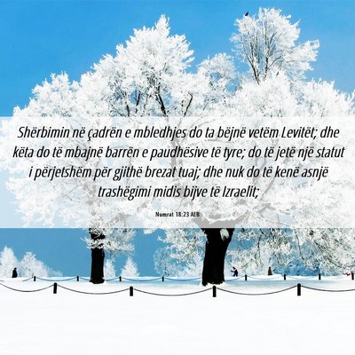 Picture 06 - Numrat 18:23 ALB - Shërbimin në çadrën e mbledhjes do ta bëjnë - Bible Verse Picture