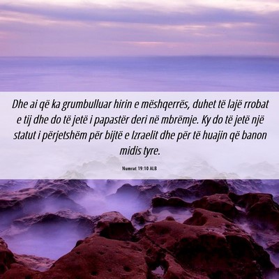 Picture 06 - Numrat 19:10 ALB - Dhe ai që ka grumbulluar hirin e mëshqerrës, - Bible Verse Picture
