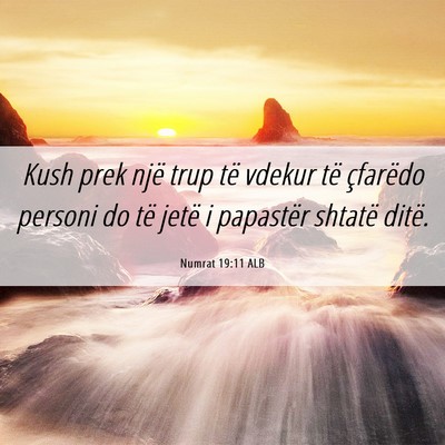 Picture 06 - Numrat 19:11 ALB - Kush prek një trup të vdekur të çfarëdo - Bible Verse Picture