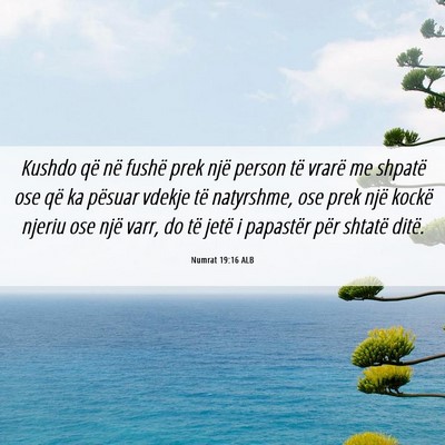 Picture 06 - Numrat 19:16 ALB - Kushdo që në fushë prek një person të vrarë - Bible Verse Picture