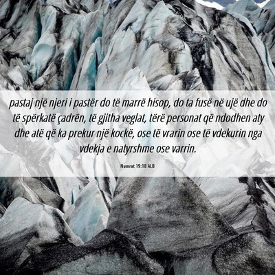 Picture 06 - Numrat 19:18 ALB - pastaj një njeri i pastër do të marrë hisop, - Bible Verse Picture