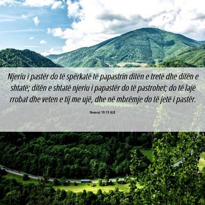 Picture 06 - Numrat 19:19 ALB - Njeriu i pastër do të spërkatë të papastrin - Bible Verse Picture