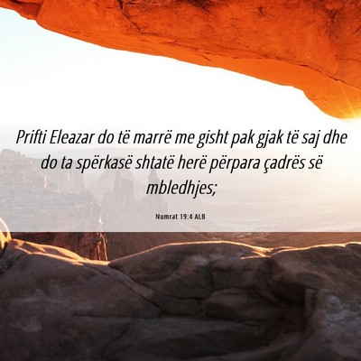 Picture 06 - Numrat 19:4 ALB - Prifti Eleazar do të marrë me gisht pak gjak - Bible Verse Picture