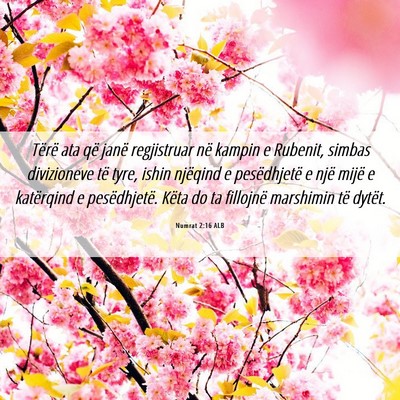 Picture 06 - Numrat 2:16 ALB - Tërë ata që janë regjistruar në kampin e - Bible Verse Picture