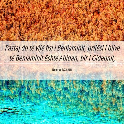 Picture 06 - Numrat 2:22 ALB - Pastaj do të vijë fisi i Beniaminit; prijësi i - Bible Verse Picture