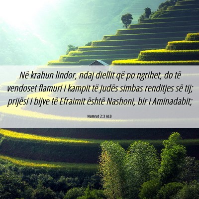 Picture 06 - Numrat 2:3 ALB - Në krahun lindor, ndaj diellit që po ngrihet, - Bible Verse Picture