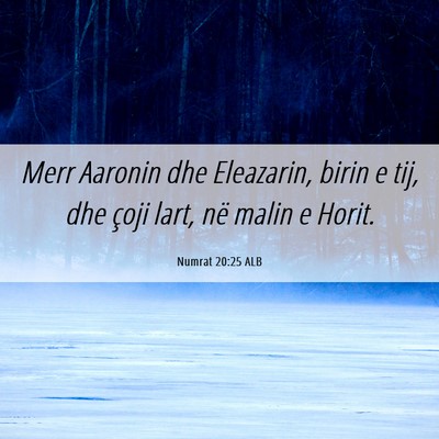 Picture 06 - Numrat 20:25 ALB - Merr Aaronin dhe Eleazarin, birin e tij, dhe - Bible Verse Picture