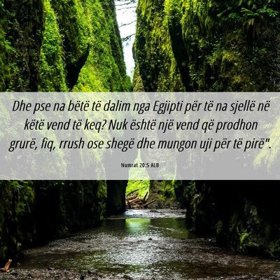 Picture 06 - Numrat 20:5 ALB - Dhe pse na bëtë të dalim nga Egjipti për të - Bible Verse Picture