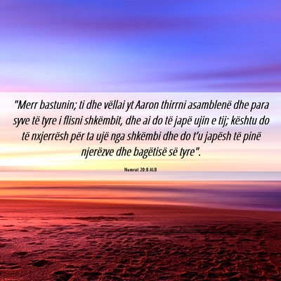 Picture 06 - Numrat 20:8 ALB - 