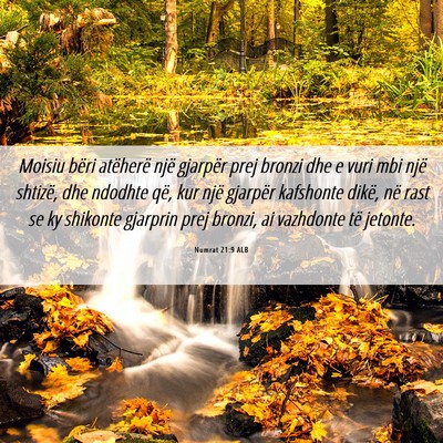 Picture 06 - Numrat 21:9 ALB - Moisiu bëri atëherë një gjarpër prej bronzi - Bible Verse Picture