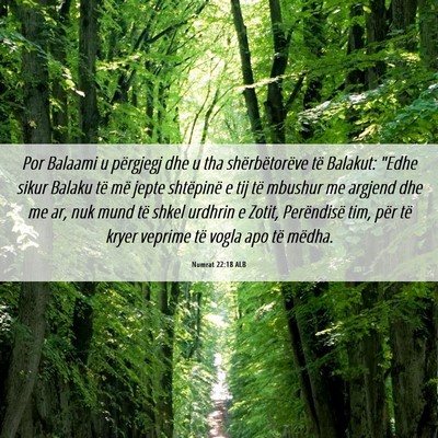 Picture 06 - Numrat 22:18 ALB - Por Balaami u përgjegj dhe u tha shërbëtorëve - Bible Verse Picture